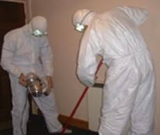 bio hazard council house clearance